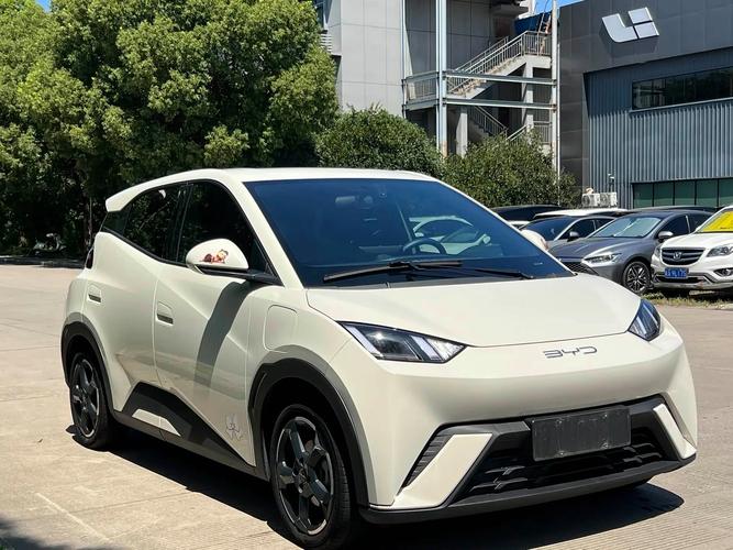 海鸥电动车2023款/海鸥电动车2023款图片