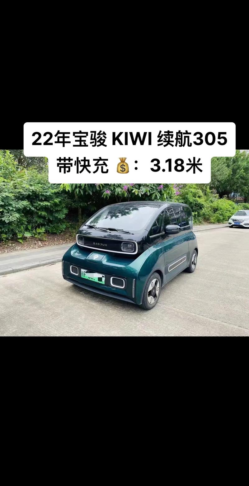 最小的电动车,宝骏最小的电动车