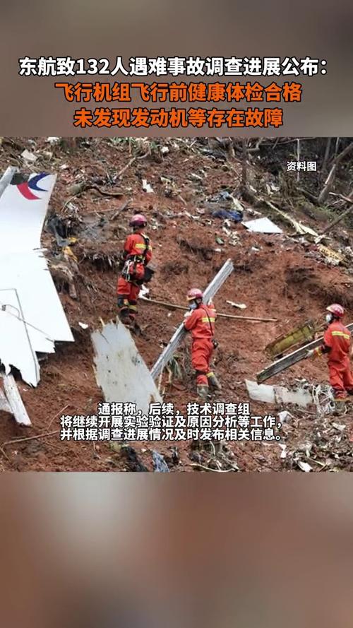 东航客机坠毁事件详情公布,东航航班事件