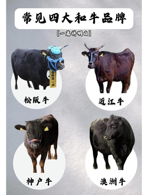 大牛小牛分别叫什么 大牛小牛有啥区别