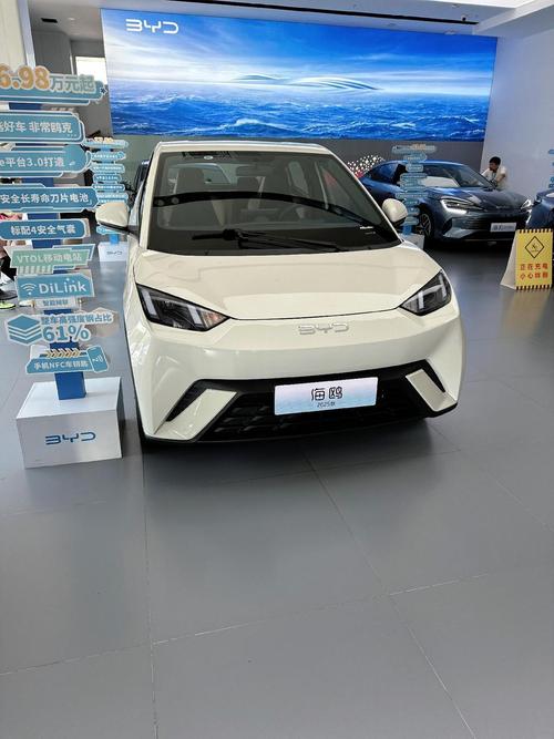 byd电动车 比亚迪电动车两轮