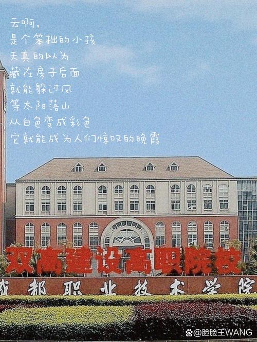 成都职业技术学校(成都职业技术学校官网)